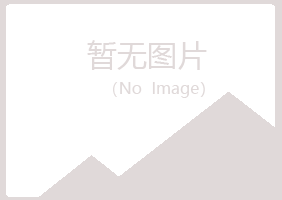 田东县夏岚公益组织有限公司